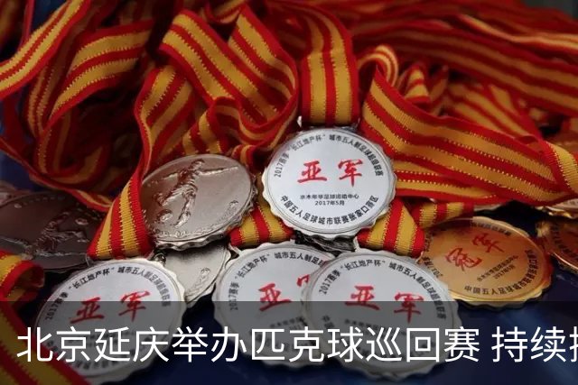 北京延庆举办匹克球巡回赛 持续擦亮户外运动城市名片
